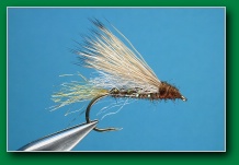 x2_caddis