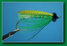 emerald_spey