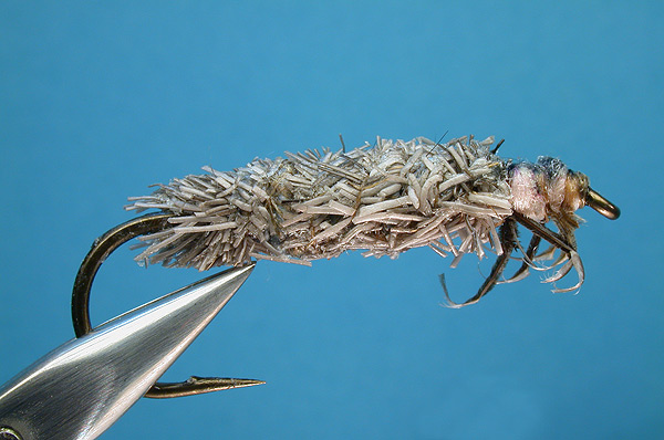 cased caddis flies