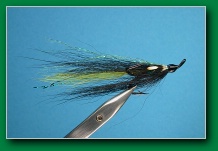 green_braham_long_tail