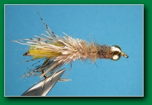 ice_caddis_larva