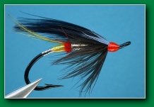 night_hawk