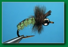 c-squared_caddis_green