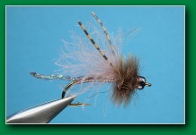 diving_caddis