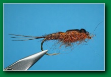 bwo_nymph