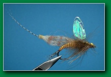 mayfly_emerger_ls