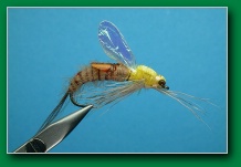 mayfly_emerger