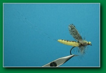 realistic_mayfly