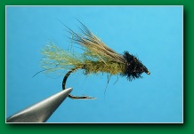 caddis_emerger