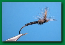 chironomid_emerger