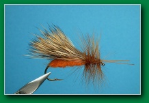 october_caddis