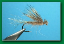 x-caddis