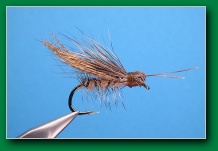 yakima_caddis