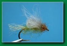 cdc_emerging_caddis