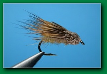 streaking_caddis