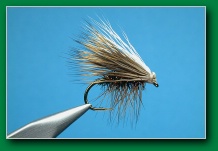 white_top_deer_hair_caddis