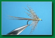 hackle_mayfly