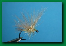 cdc_split-wing_emerger_olive_dun