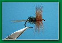 brown_hackle