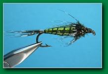 green_gold_nymph