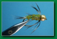 gold_head_stonefly