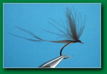 one_feather_mayfly