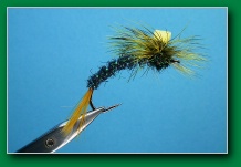 salmon_fly