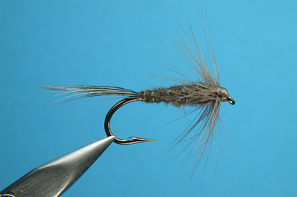 Grey Hackle? - The Fly Tying Bench - Fly Tying