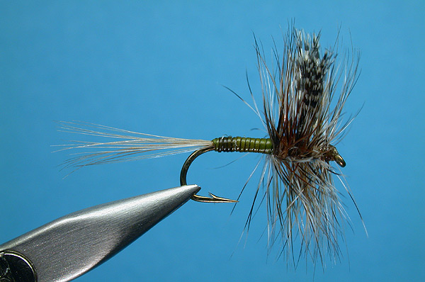 Teal & Olive Quill