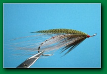 pintail_spey