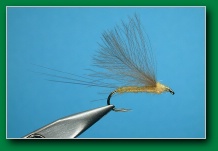 low_profile_pale_morning_dun