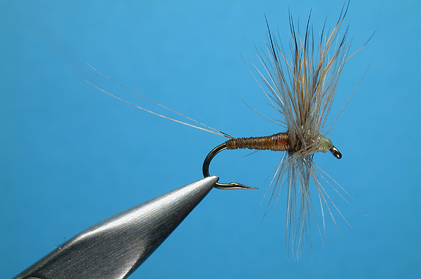 Hackled Hair Wing BWO