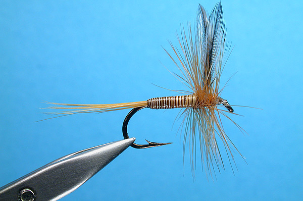 Ginger Quill (hackle tip wing)